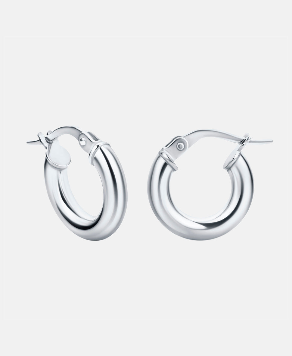 Vanlere Earrings Silver