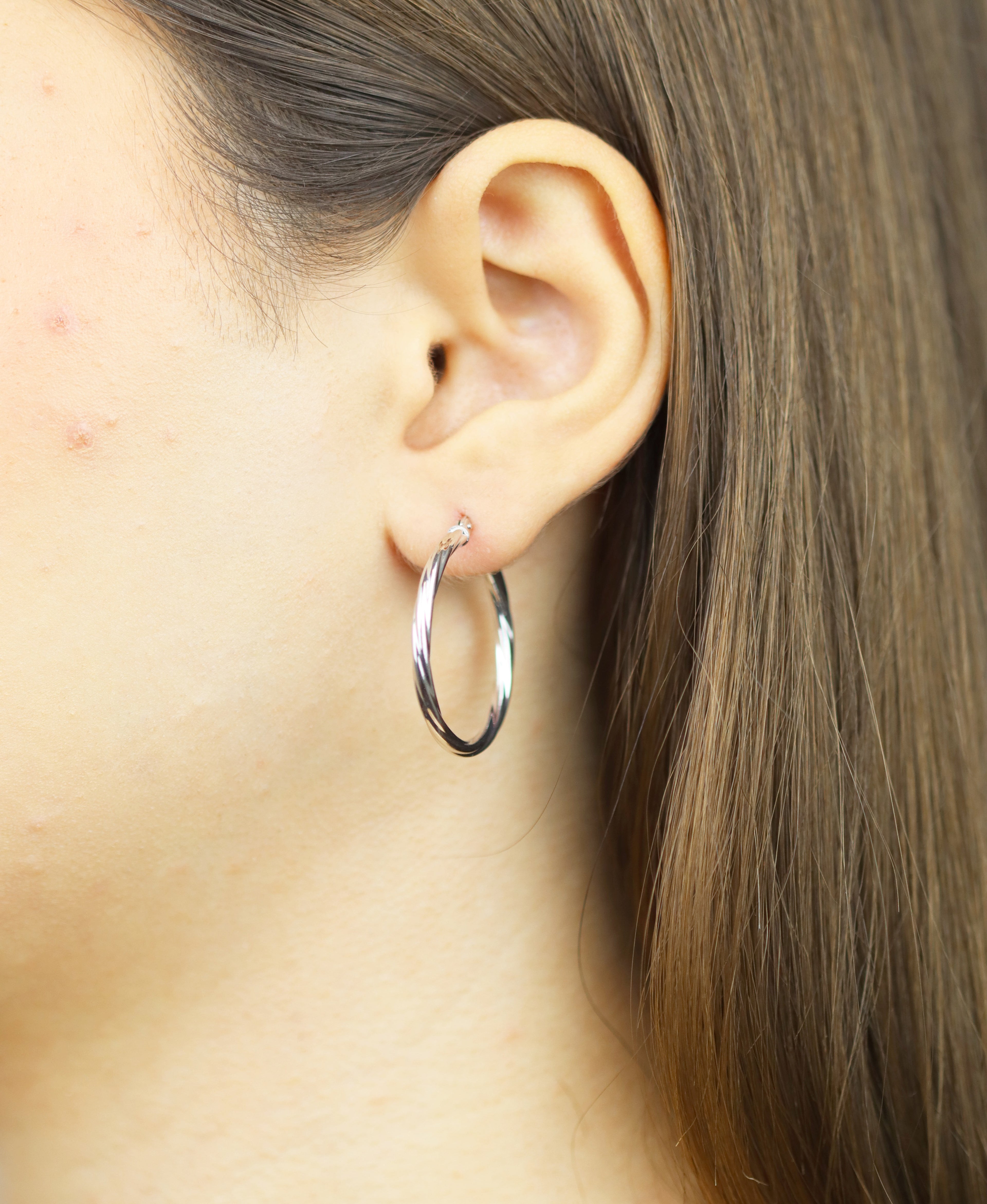 Vanlere Earrings Silver