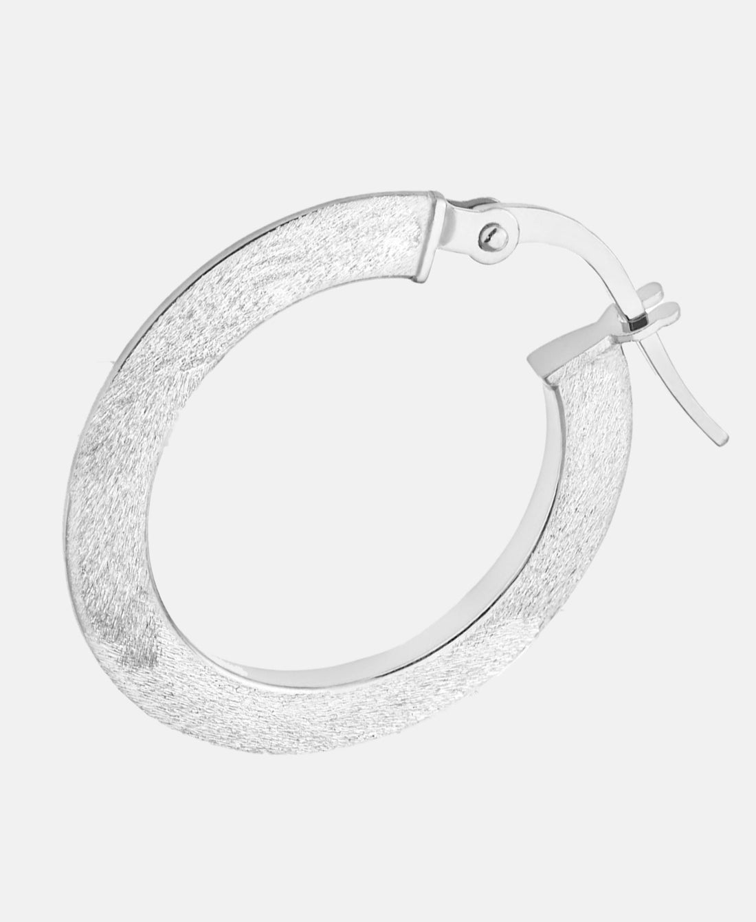 Vanlere Earrings Silver