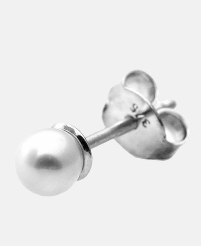 Vanlere Earrings Silver