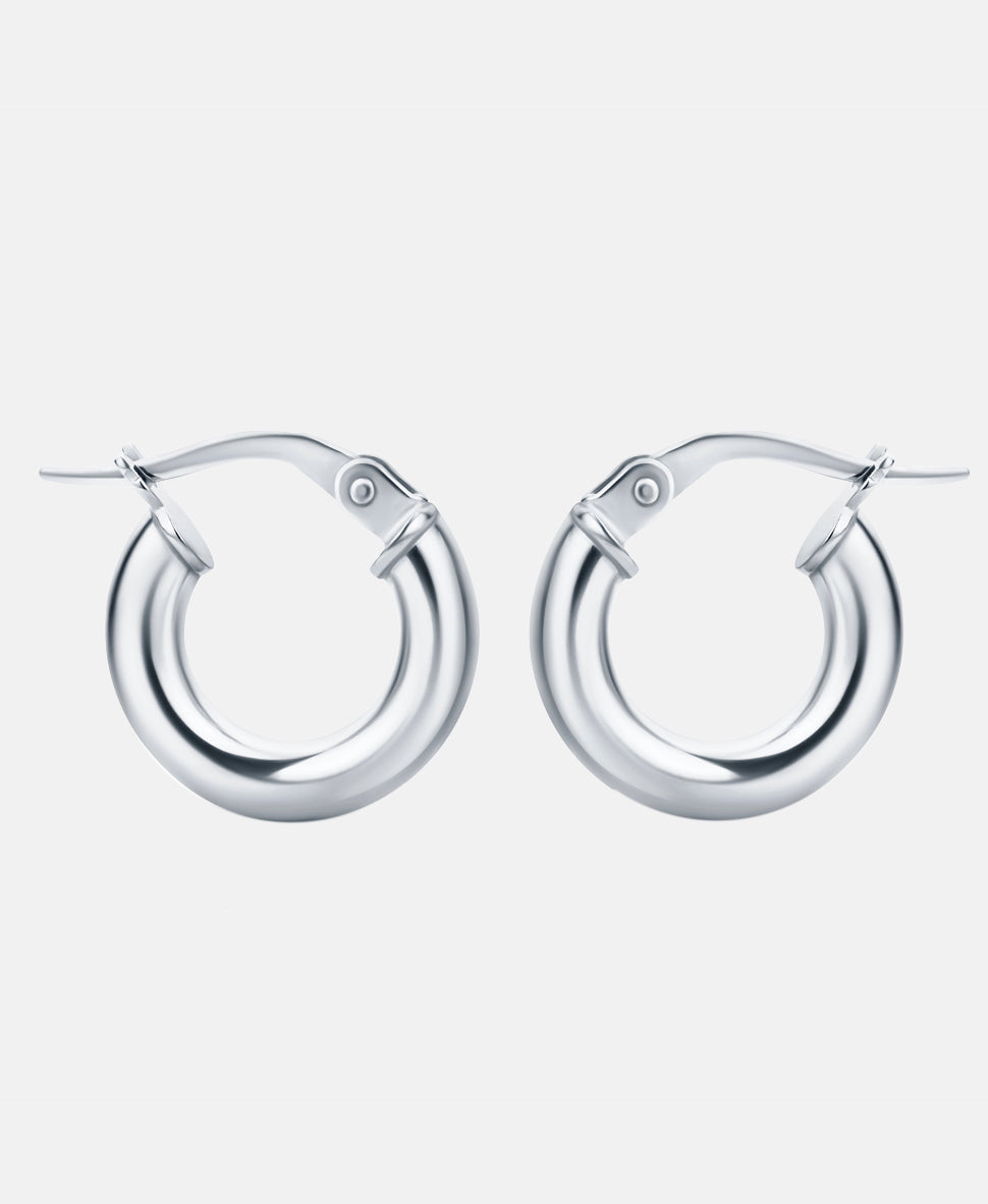 Vanlere Earrings Silver