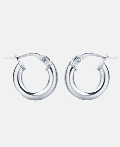 Vanlere Earrings Silver