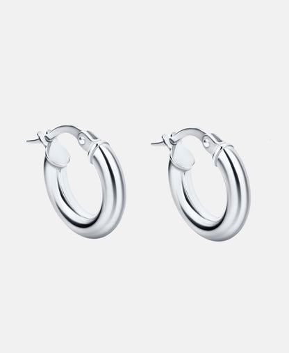 Vanlere Earrings Silver