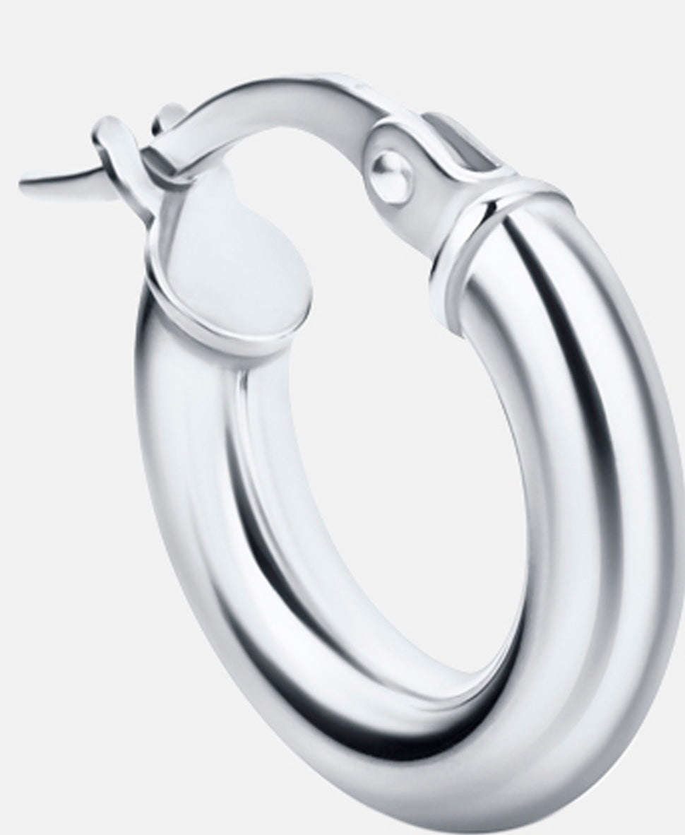Vanlere Earrings Silver