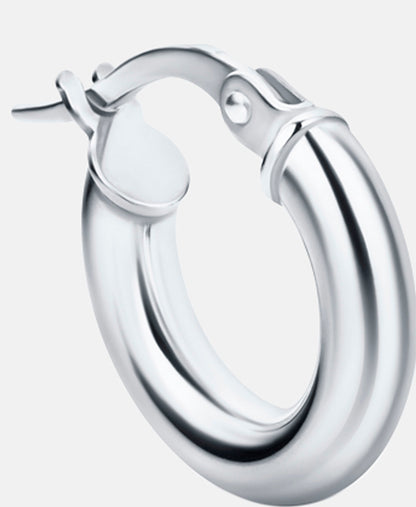 Vanlere Earrings Silver