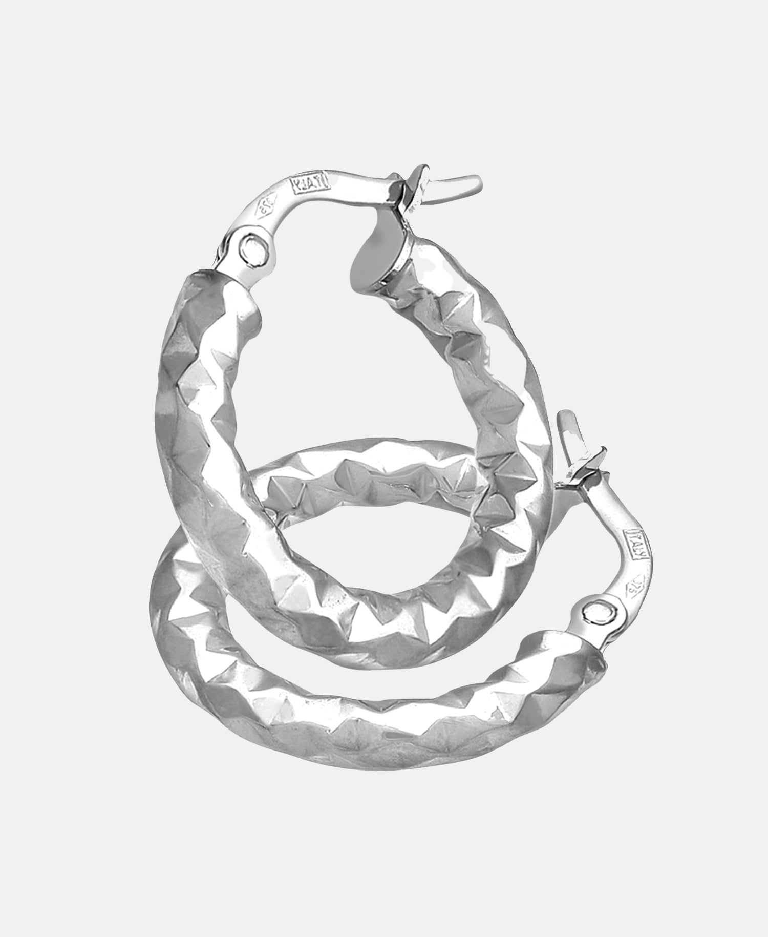 Vanlere Earrings Silver