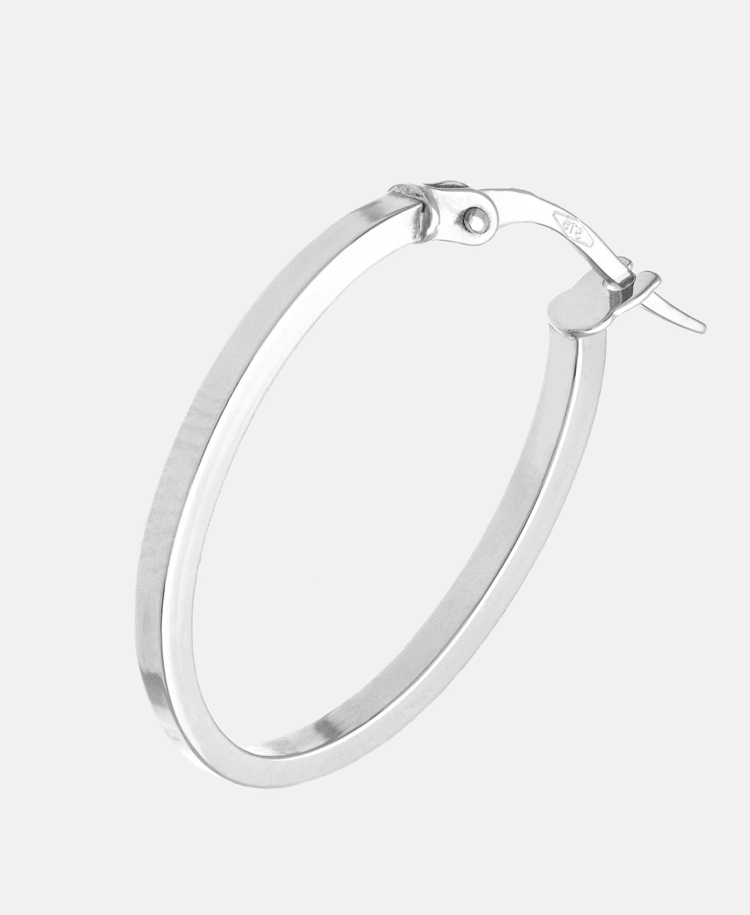 Vanlere Earrings Silver