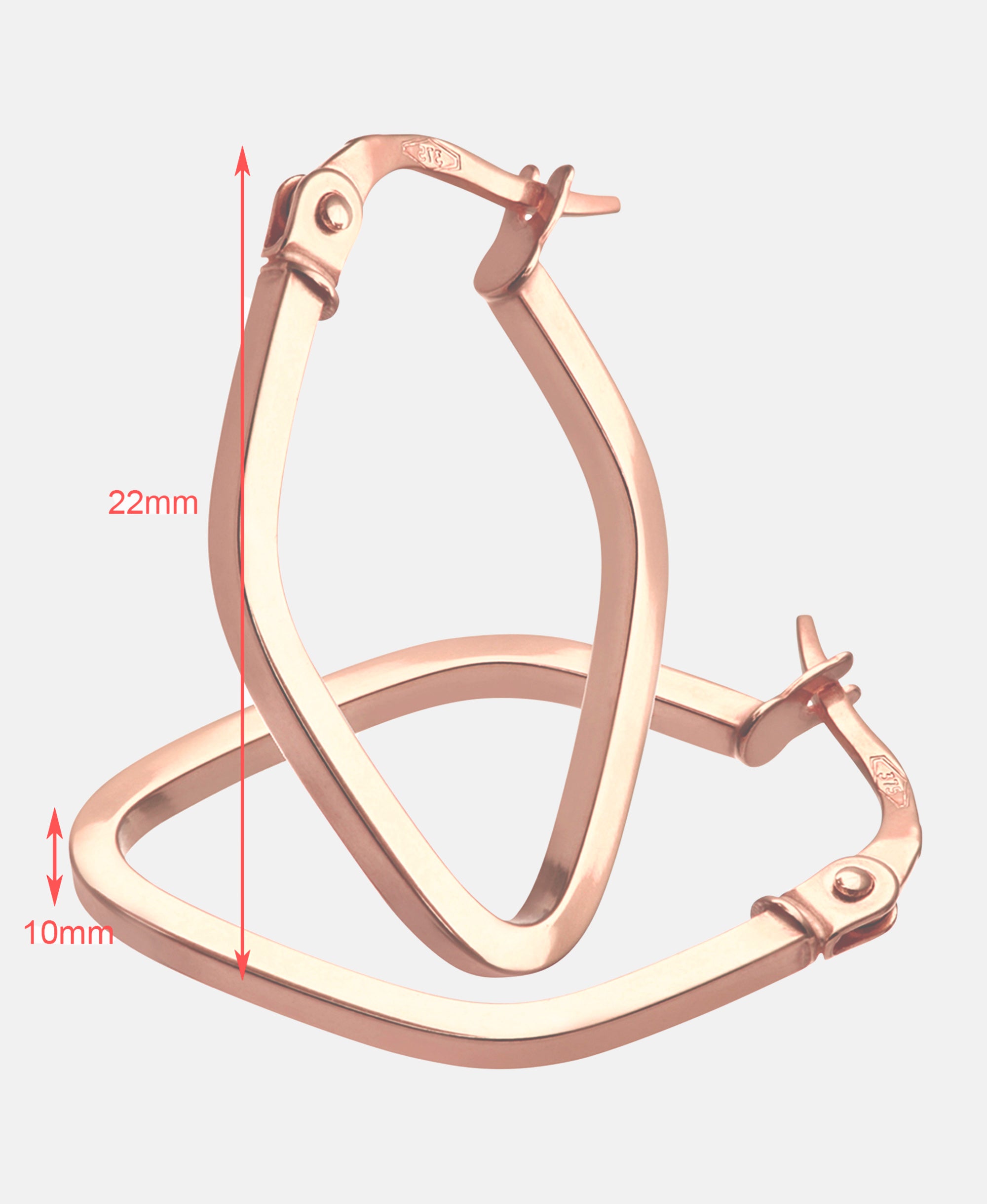 Vanlere Earrings Pink