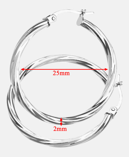 Vanlere Earrings Silver
