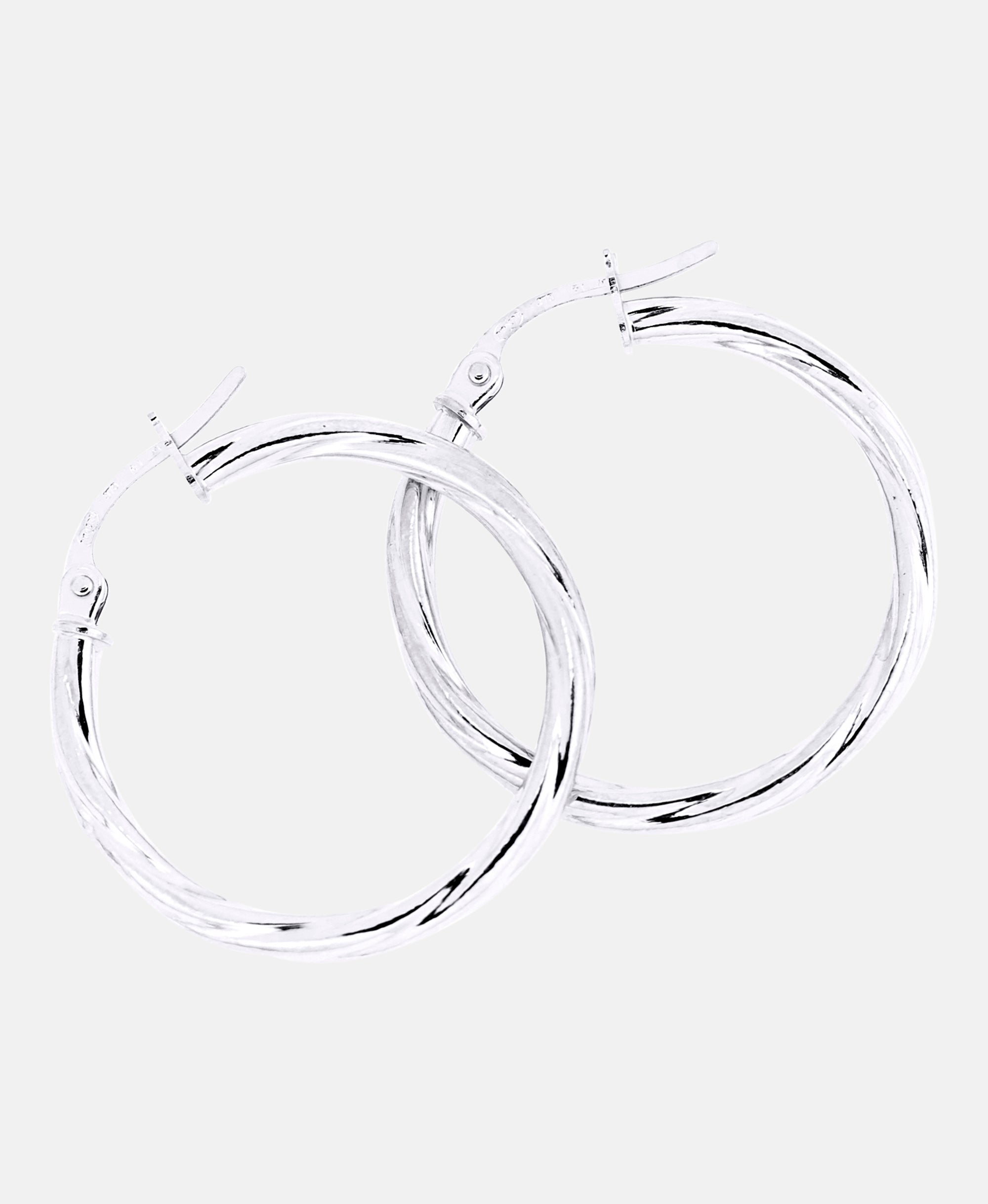 Vanlere Earrings Silver