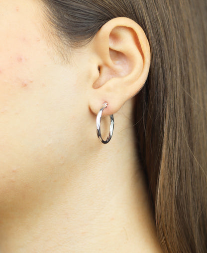 Vanlere Earrings Silver
