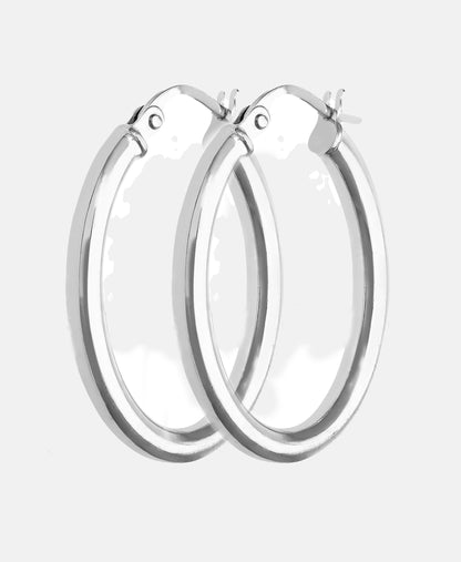 Vanlere Earrings Silver