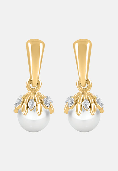 Diamant Exquis Earrings Silver