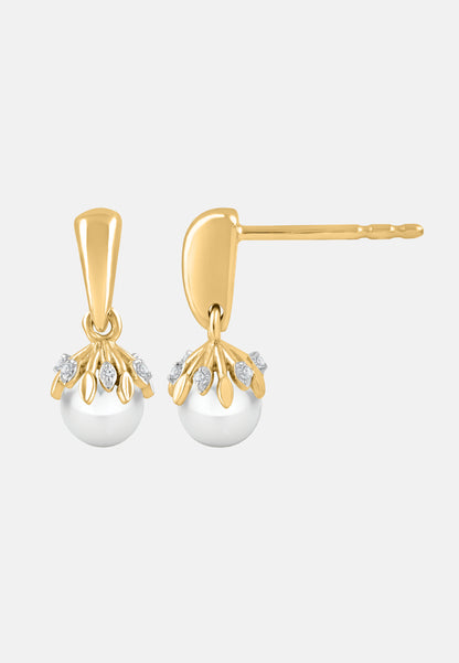 Diamant Exquis Earrings Silver