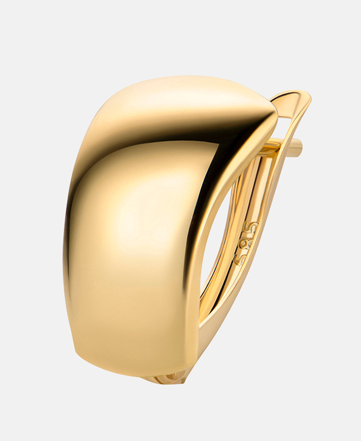 Hoop earrings in 585 (14K) Yellow Gold