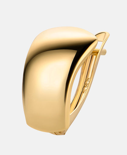 Hoop earrings in 585 (14K) Yellow Gold