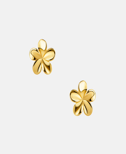 Stud earrings in 585 (14K) Yellow Gold