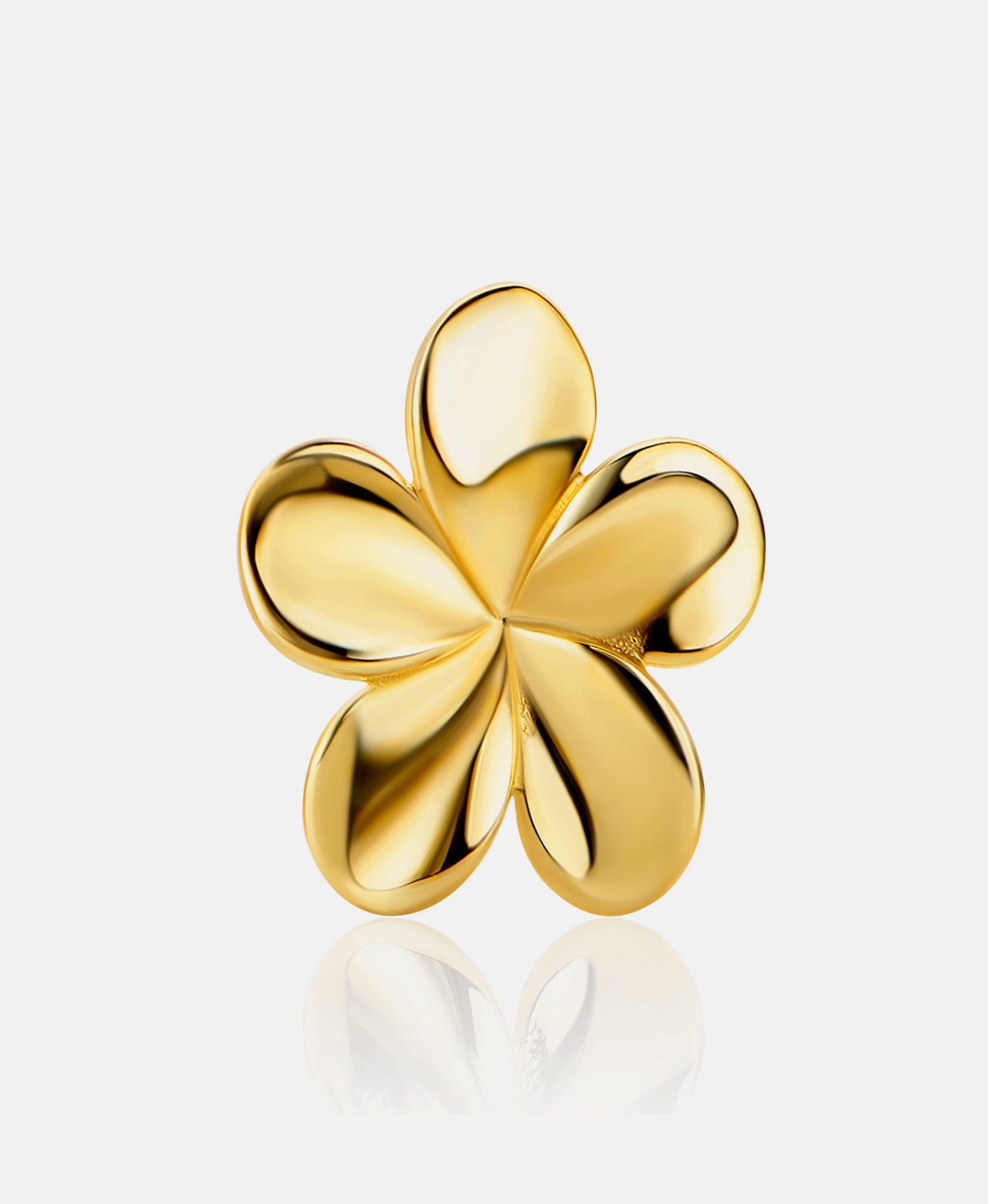 Stud earrings in 585 (14K) Yellow Gold