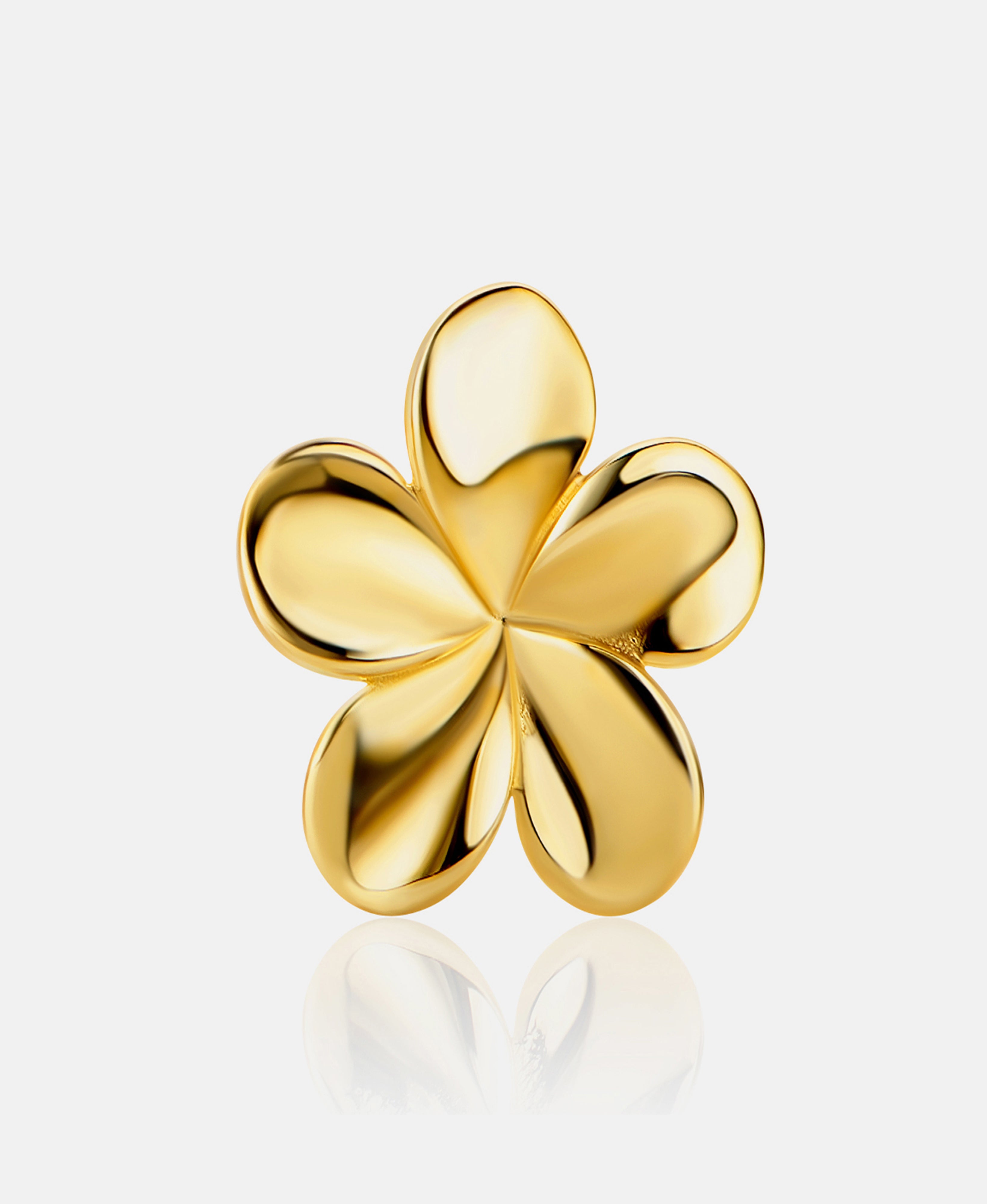 Stud earrings in 585 (14K) Yellow Gold