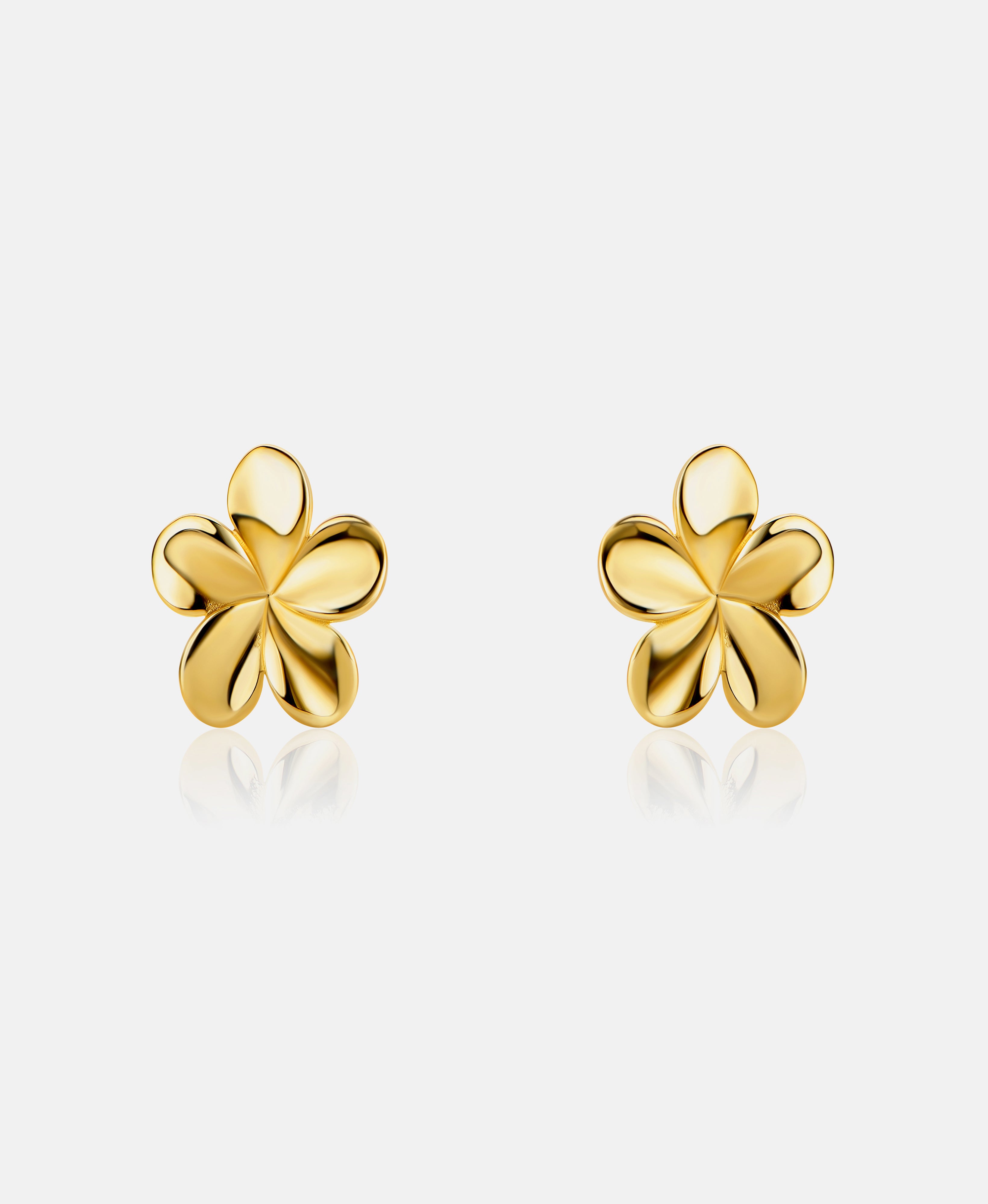 Stud earrings in 585 (14K) Yellow Gold