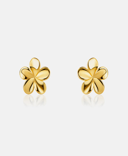Stud earrings in 585 (14K) Yellow Gold