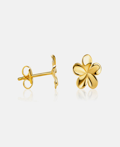 Stud earrings in 585 (14K) Yellow Gold