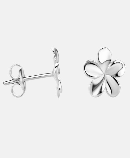 Stud earrings in 585 (14K) White Gold