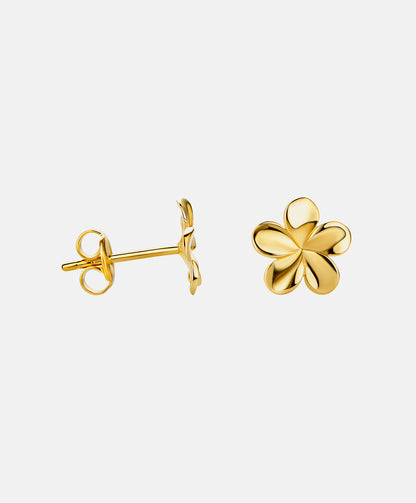 Stud earrings in 585 (14K) Yellow Gold