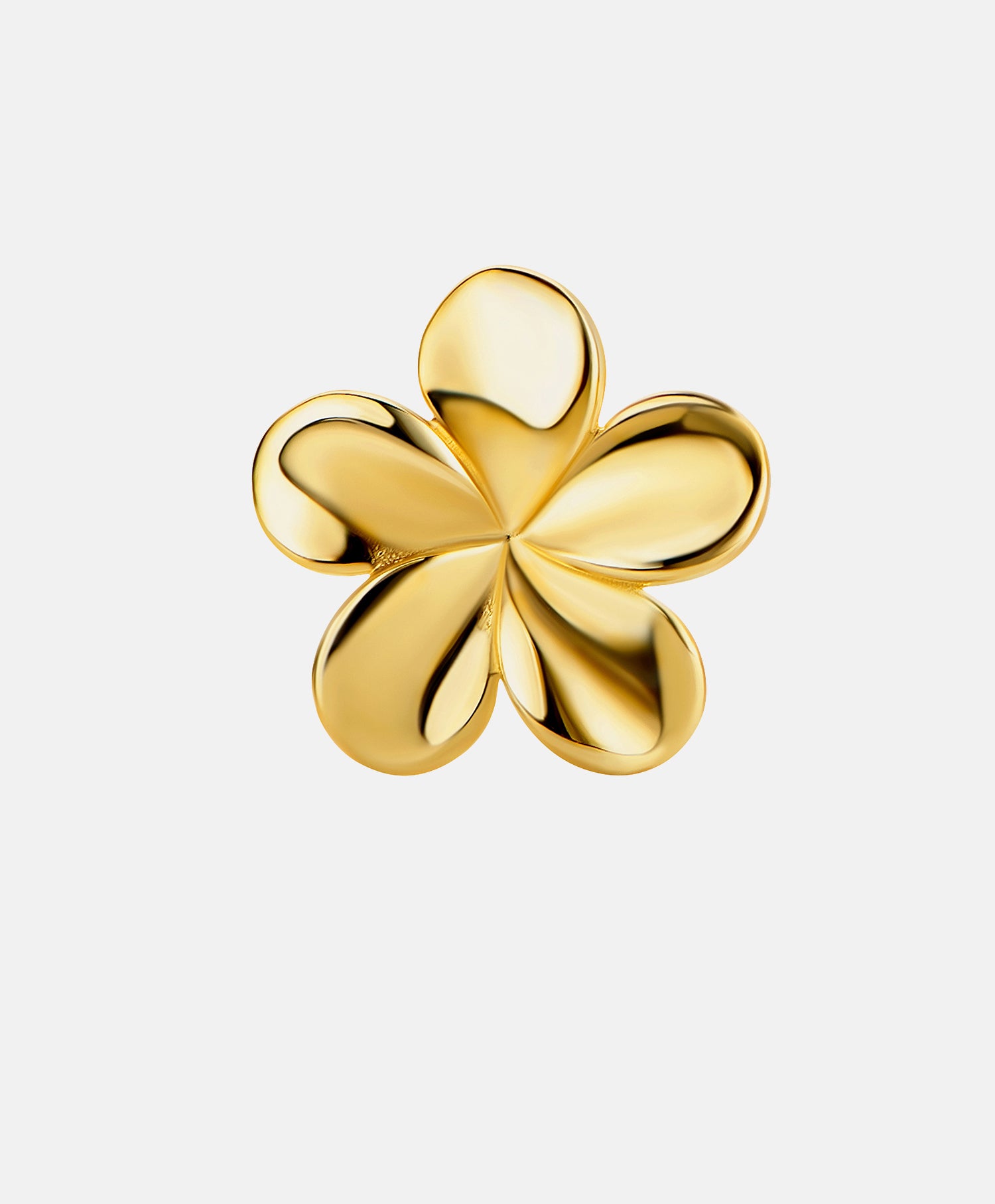 Stud earrings in 585 (14K) Yellow Gold