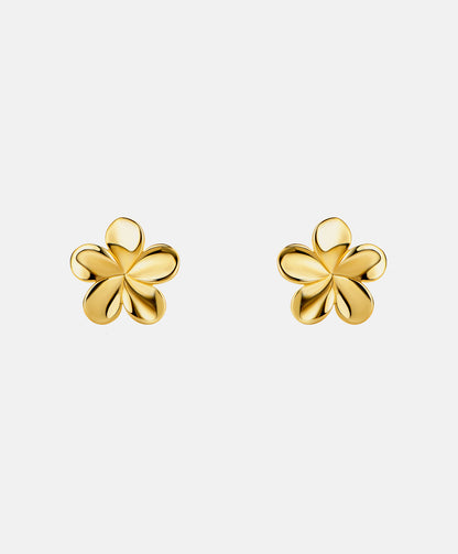 Stud earrings in 585 (14K) Yellow Gold