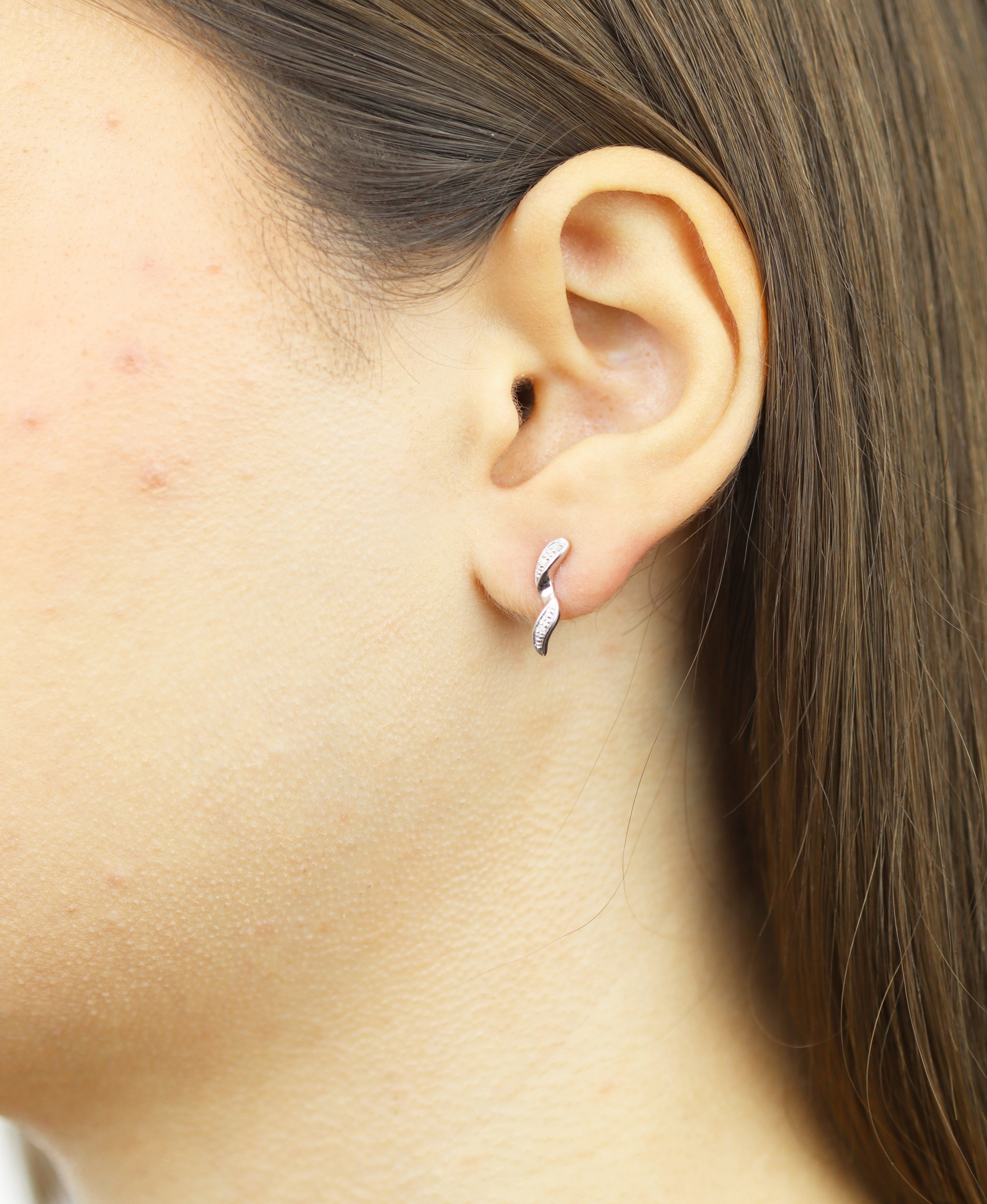 DIAMANT LETERNEL Earrings Silver