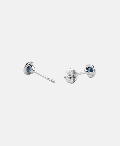 DIAMANT LETERNEL Earrings Silver