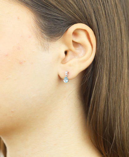 DIAMANT LETERNEL Earrings Silver