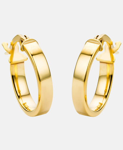 Ohrringe aus 375 Gelbgold