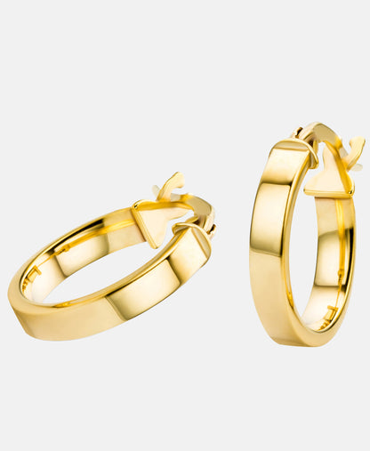 Ohrringe aus 375 Gelbgold