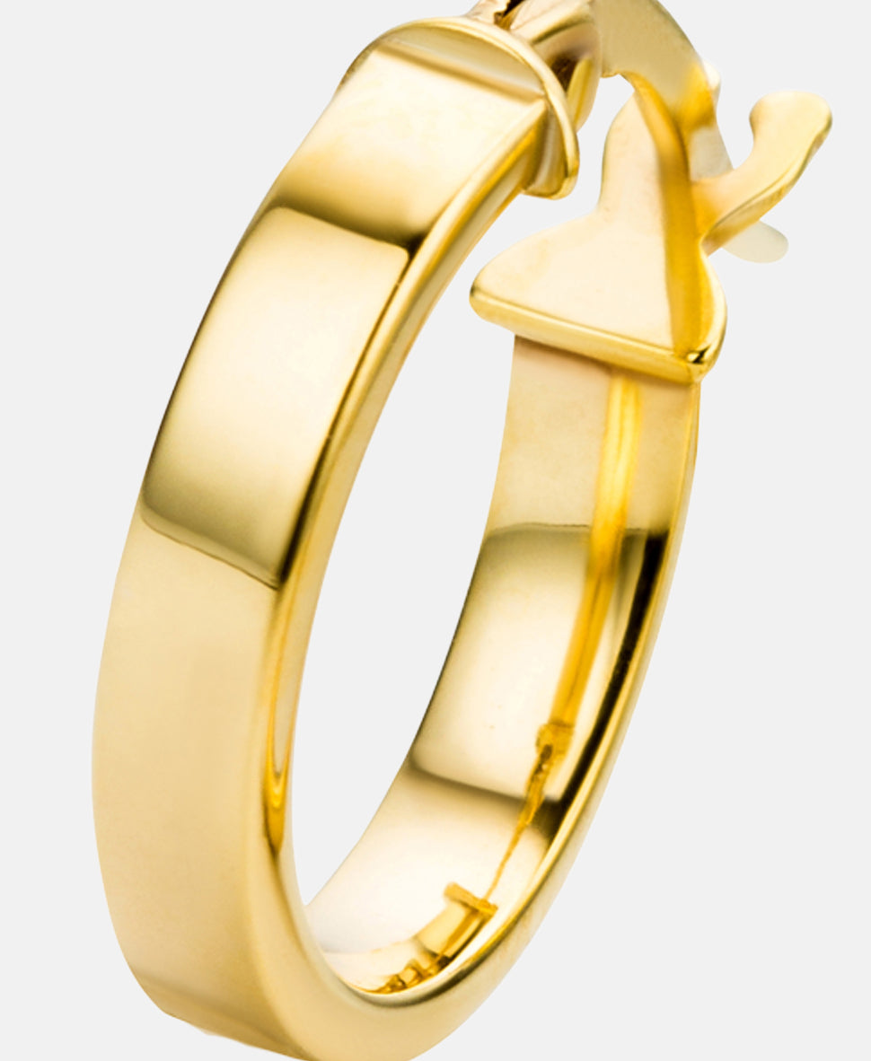 Ohrringe aus 375 Gelbgold
