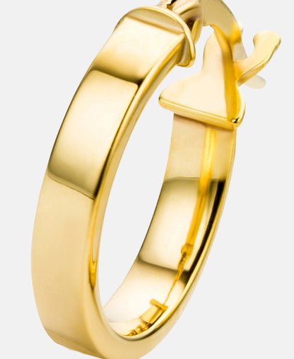 Ohrringe aus 375 Gelbgold
